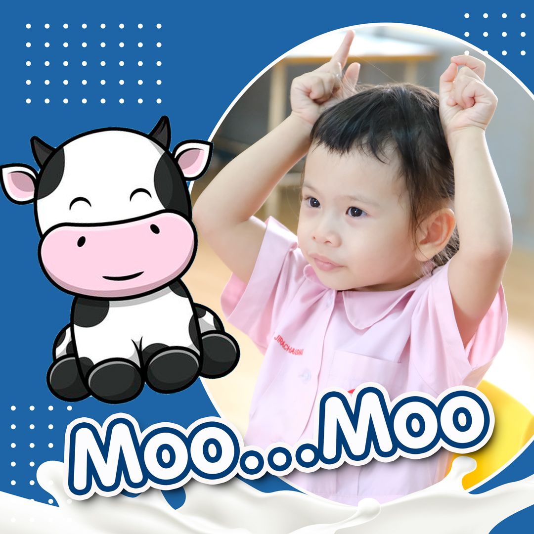 🌟𝐏𝐫𝐞-𝐊 𝐂𝐨𝐰 𝐌𝐢𝐥𝐤𝐢𝐧𝐠 𝐅𝐮𝐧!🐄